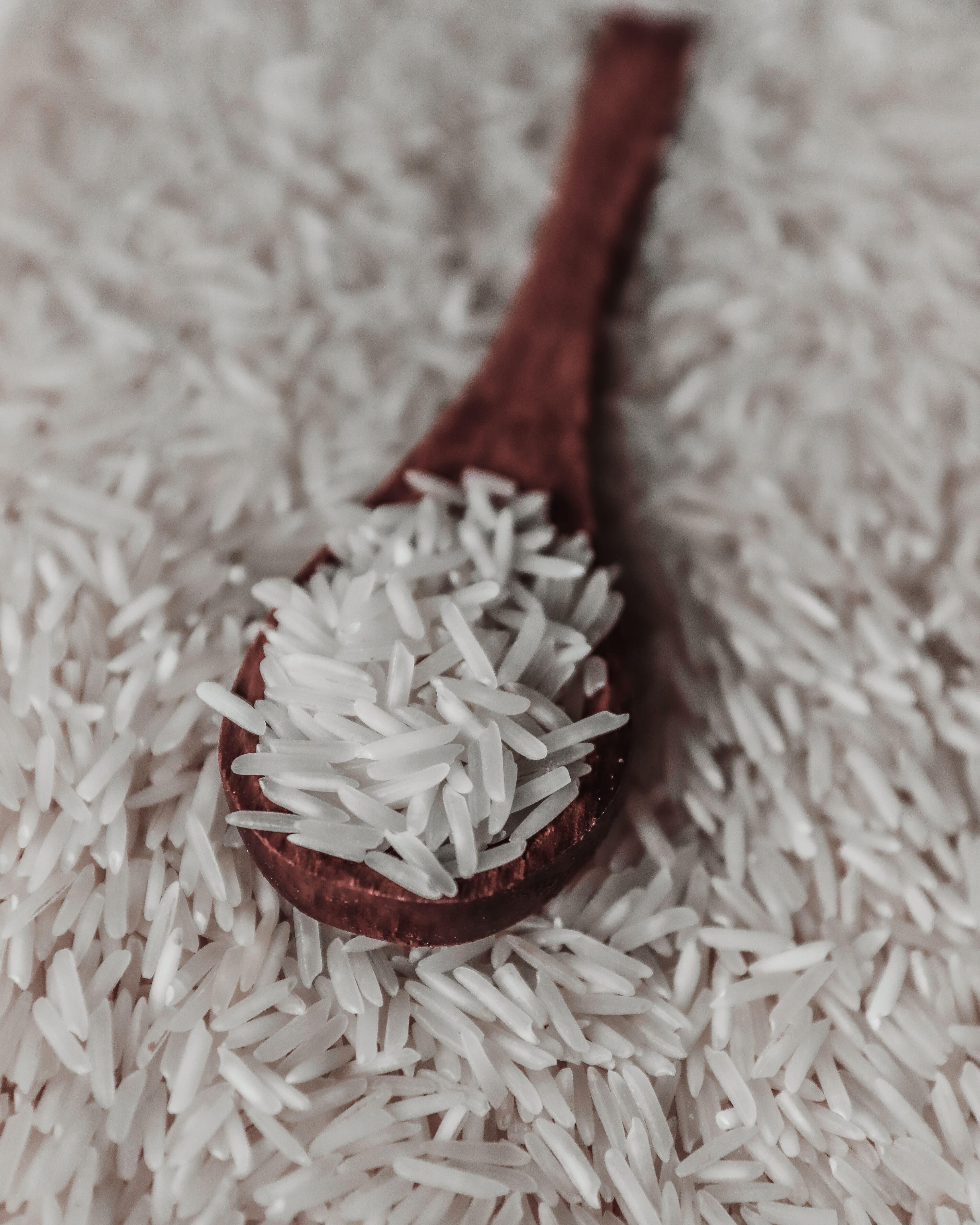 Basmati Reis aus dem Arya Sortiment